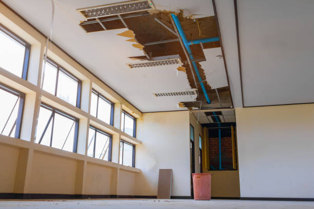 Best Mold removal after water damage  in De Pere, WI