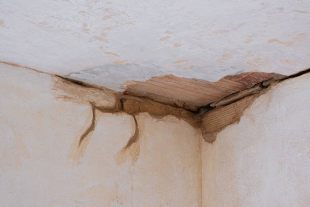 Best Flooded house restoration  in De Pere, WI