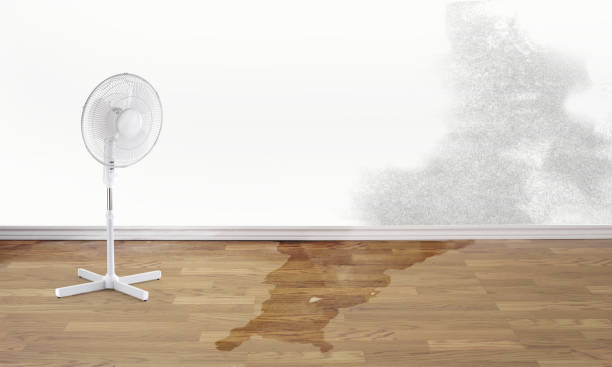 Best Ceiling water damage repair  in De Pere, WI