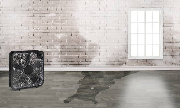 Water damage restoration insurance claims in De Pere, WI